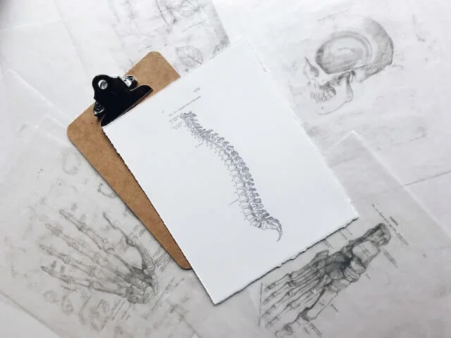chiropractor spine