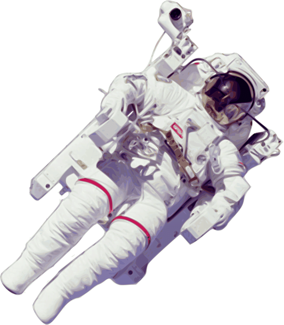 Spine Cosmonaut Astronaut