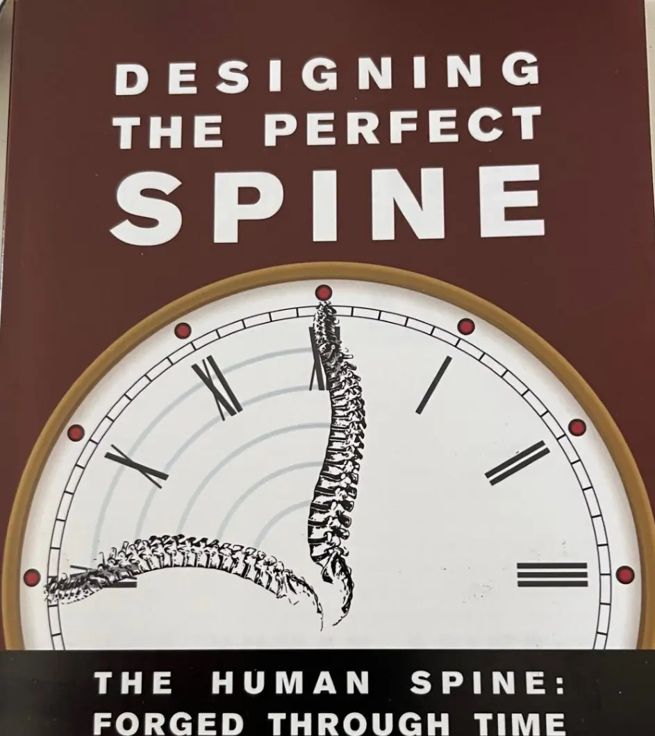 Chiropractic and Middle Back Pain Treatment